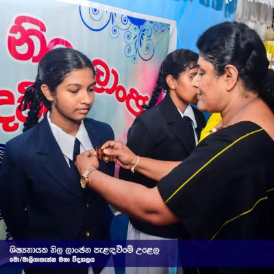 Whatsapp Image 2024 10 24 At 5.19.08 Pm